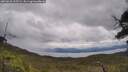 ./images/calvert/fitz-hugh-hecate/20250618/fitz-hugh-hecate20250618_125508M.jpg