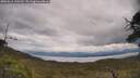 ./images/calvert/fitz-hugh-hecate/20250618/fitz-hugh-hecate20250618_130510M.jpg