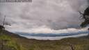 ./images/calvert/fitz-hugh-hecate/20250618/fitz-hugh-hecate20250618_131009M.jpg