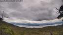 ./images/calvert/fitz-hugh-hecate/20250618/fitz-hugh-hecate20250618_131509M.jpg