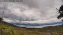 ./images/calvert/fitz-hugh-hecate/20250618/fitz-hugh-hecate20250618_132508M.jpg