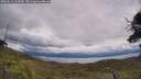 ./images/calvert/fitz-hugh-hecate/20250618/fitz-hugh-hecate20250618_133010M.jpg