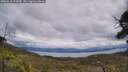 ./images/calvert/fitz-hugh-hecate/20250618/fitz-hugh-hecate20250618_134010M.jpg