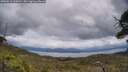 ./images/calvert/fitz-hugh-hecate/20250618/fitz-hugh-hecate20250618_135011M.jpg