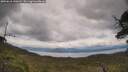 ./images/calvert/fitz-hugh-hecate/20250618/fitz-hugh-hecate20250618_140012M.jpg