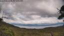 ./images/calvert/fitz-hugh-hecate/20250618/fitz-hugh-hecate20250618_140510M.jpg