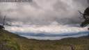 ./images/calvert/fitz-hugh-hecate/20250618/fitz-hugh-hecate20250618_142509M.jpg