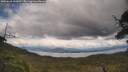 ./images/calvert/fitz-hugh-hecate/20250618/fitz-hugh-hecate20250618_143010M.jpg