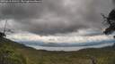 ./images/calvert/fitz-hugh-hecate/20250618/fitz-hugh-hecate20250618_143510M.jpg