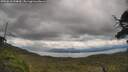 ./images/calvert/fitz-hugh-hecate/20250618/fitz-hugh-hecate20250618_144010M.jpg