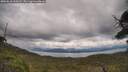 ./images/calvert/fitz-hugh-hecate/20250618/fitz-hugh-hecate20250618_144510M.jpg
