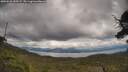 ./images/calvert/fitz-hugh-hecate/20250618/fitz-hugh-hecate20250618_150507M.jpg