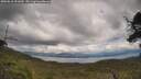 ./images/calvert/fitz-hugh-hecate/20250618/fitz-hugh-hecate20250618_151010M.jpg