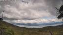 ./images/calvert/fitz-hugh-hecate/20250618/fitz-hugh-hecate20250618_151510M.jpg