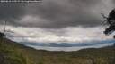 ./images/calvert/fitz-hugh-hecate/20250618/fitz-hugh-hecate20250618_152509M.jpg