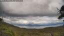 ./images/calvert/fitz-hugh-hecate/20250618/fitz-hugh-hecate20250618_153012M.jpg