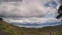 ./images/calvert/fitz-hugh-hecate/20250618/fitz-hugh-hecate20250618_153510M.jpg