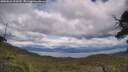 ./images/calvert/fitz-hugh-hecate/20250618/fitz-hugh-hecate20250618_154509M.jpg
