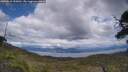 ./images/calvert/fitz-hugh-hecate/20250618/fitz-hugh-hecate20250618_155010M.jpg