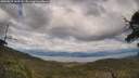 ./images/calvert/fitz-hugh-hecate/20250618/fitz-hugh-hecate20250618_160508M.jpg