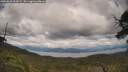 ./images/calvert/fitz-hugh-hecate/20250618/fitz-hugh-hecate20250618_161009M.jpg