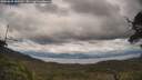 ./images/calvert/fitz-hugh-hecate/20250618/fitz-hugh-hecate20250618_161510M.jpg