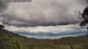 ./images/calvert/fitz-hugh-hecate/20250618/fitz-hugh-hecate20250618_162008M.jpg