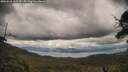./images/calvert/fitz-hugh-hecate/20250618/fitz-hugh-hecate20250618_162510M.jpg