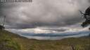 ./images/calvert/fitz-hugh-hecate/20250618/fitz-hugh-hecate20250618_163509M.jpg
