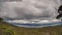 ./images/calvert/fitz-hugh-hecate/20250618/fitz-hugh-hecate20250618_164010M.jpg