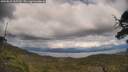 ./images/calvert/fitz-hugh-hecate/20250618/fitz-hugh-hecate20250618_165509M.jpg