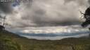 ./images/calvert/fitz-hugh-hecate/20250618/fitz-hugh-hecate20250618_171010M.jpg