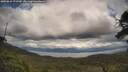 ./images/calvert/fitz-hugh-hecate/20250618/fitz-hugh-hecate20250618_171510M.jpg