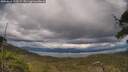 ./images/calvert/fitz-hugh-hecate/20250618/fitz-hugh-hecate20250618_172509M.jpg