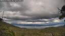 ./images/calvert/fitz-hugh-hecate/20250618/fitz-hugh-hecate20250618_173010M.jpg