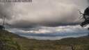 ./images/calvert/fitz-hugh-hecate/20250618/fitz-hugh-hecate20250618_174010M.jpg