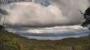 ./images/calvert/fitz-hugh-hecate/20250618/fitz-hugh-hecate20250618_174510M.jpg