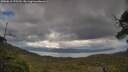 ./images/calvert/fitz-hugh-hecate/20250618/fitz-hugh-hecate20250618_175510M.jpg