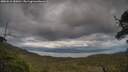 ./images/calvert/fitz-hugh-hecate/20250618/fitz-hugh-hecate20250618_180013M.jpg