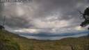 ./images/calvert/fitz-hugh-hecate/20250618/fitz-hugh-hecate20250618_181010M.jpg
