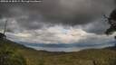 ./images/calvert/fitz-hugh-hecate/20250618/fitz-hugh-hecate20250618_183508M.jpg