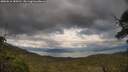 ./images/calvert/fitz-hugh-hecate/20250618/fitz-hugh-hecate20250618_184511M.jpg