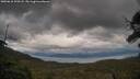 ./images/calvert/fitz-hugh-hecate/20250618/fitz-hugh-hecate20250618_190508M.jpg