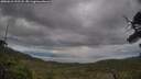 ./images/calvert/fitz-hugh-hecate/20250618/fitz-hugh-hecate20250618_192508M.jpg
