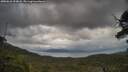 ./images/calvert/fitz-hugh-hecate/20250618/fitz-hugh-hecate20250618_194008M.jpg