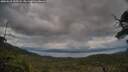 ./images/calvert/fitz-hugh-hecate/20250618/fitz-hugh-hecate20250618_195508M.jpg