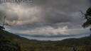 ./images/calvert/fitz-hugh-hecate/20250618/fitz-hugh-hecate20250618_200009M.jpg