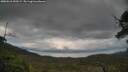 ./images/calvert/fitz-hugh-hecate/20250618/fitz-hugh-hecate20250618_200509M.jpg