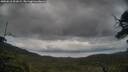 ./images/calvert/fitz-hugh-hecate/20250618/fitz-hugh-hecate20250618_201009M.jpg