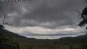 ./images/calvert/fitz-hugh-hecate/20250618/fitz-hugh-hecate20250618_201508M.jpg